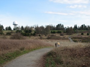 Radar across a field at Discovery Park