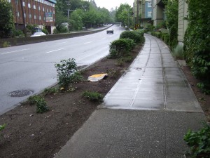 Flattened bushes and sign near the sidewalk