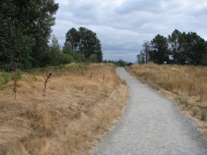 Union Bay Natural Area trail