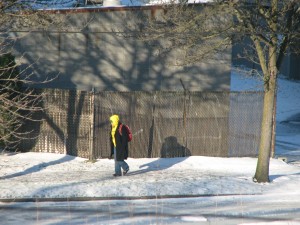 Person walking on the icy sidewalk