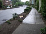 Flattened bushes and sign